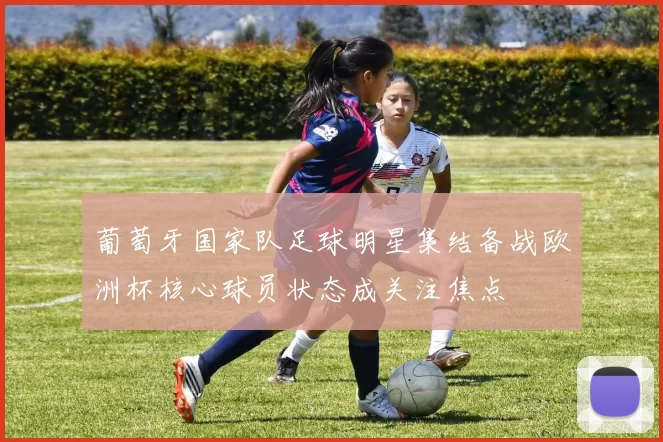 葡萄牙国家队足球明星集结备战欧洲杯核心球员状态成关注焦点
