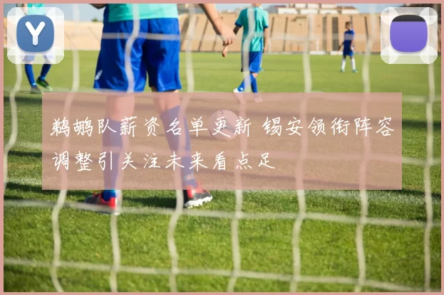 鹈鹕队薪资名单更新 锡安领衔阵容调整引关注未来看点足