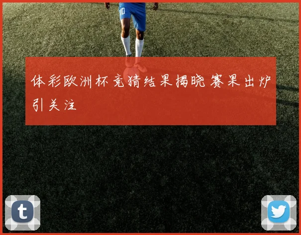 体彩欧洲杯竞猜结果揭晓 赛果出炉引关注