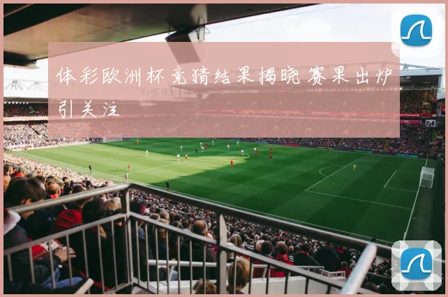 体彩欧洲杯竞猜结果揭晓 赛果出炉引关注