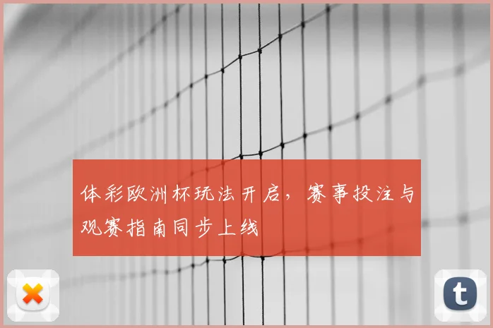 体彩欧洲杯玩法开启,赛事投注与观赛指南同步上线